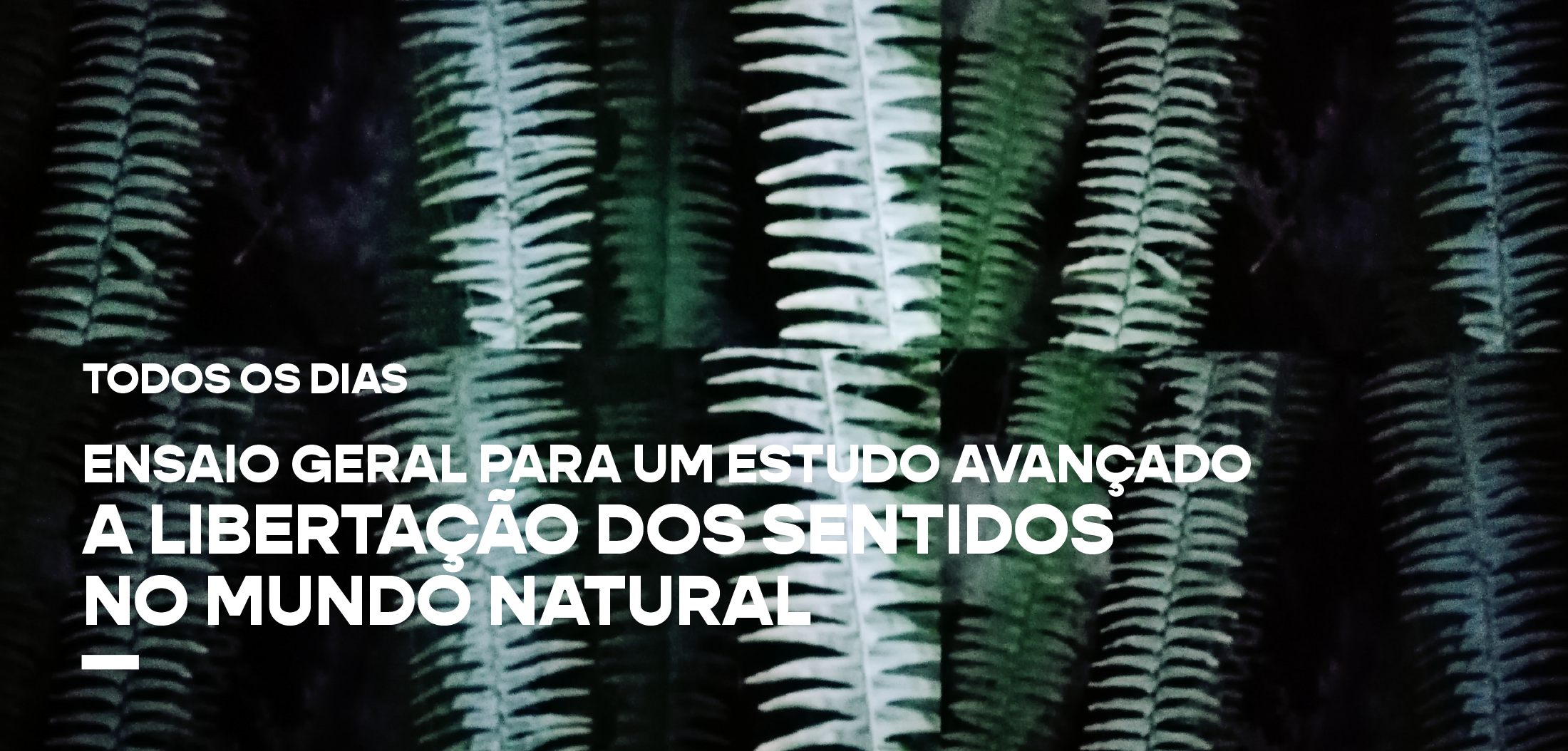 DianaSerrao_Festival_Aqui_Acola